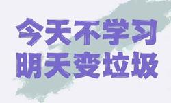 wp栏目